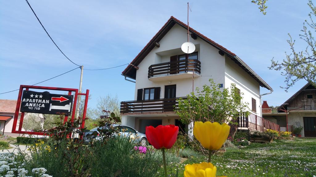 Apartment Ankica Seliste Dreznicko Exterior photo