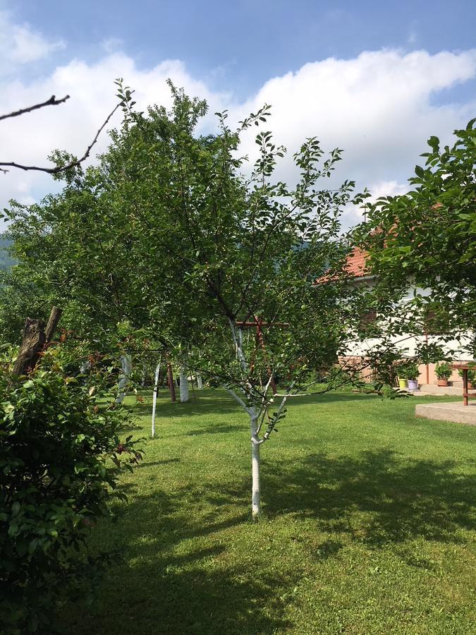 Apartment Ankica Seliste Dreznicko Exterior photo