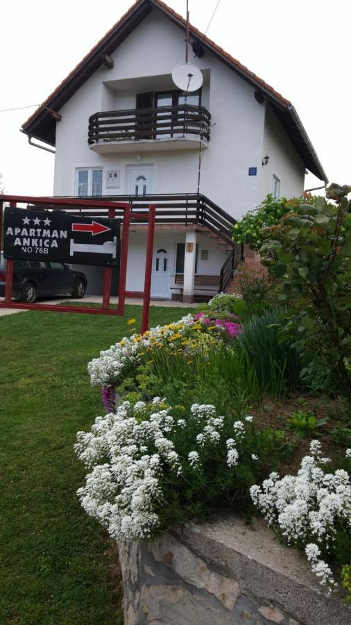 Apartment Ankica Seliste Dreznicko Exterior photo